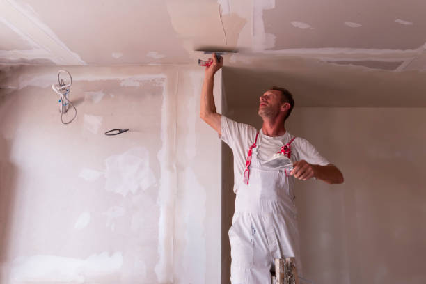 Best Ceiling Drywall Installation  in Fountain, CO